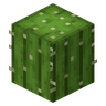 Cactus in Minecraft: Farming, Damage and Green Dye