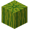 Melon Slice in Minecraft: Hunger and Saturation